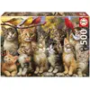 Image de Educa Puzzle Katzen und Katzen 500 Puppen (500 pièces)