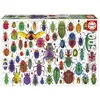 Image de Puzzle adulte - Scarabee 500 pcs