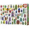 Image de Educa Puzzle Käfer 500 dls (500 pièces)