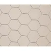 Image de Grillage métallique triple torsion "Galvanex 19" - 1 x 5 m/19 x 0,7 mm
