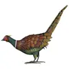Image de Décorations d'extérieur, Garden decoration "Pheasant", 54 cm x 15 cm x 46 cm
