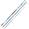 Image de Kali Canne à Surfcasting Proton