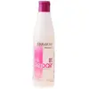 Image de Salerm, Shampoing, Shampooing HI REPAIR 250 ml (Shampoing anti-poux, 250 ml)