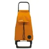 Image de Poussette de marché 2 roues 32 l Rolser BAB012NARANJA