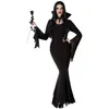 Image de Déguisement Femme Morticia