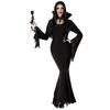 Image de Déguisement Femme Morticia
