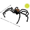 Image de Araignée Noire Géante 130cm