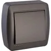 Image de Interrupteur 2 voies va et vient en saillie - Noir graphite - Solera