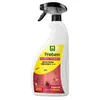 Image de Insecticide pour rampants MASSO - 1L - 06225