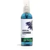 Image de Huile Corps - TOT HERBA - Lavande - 100 ml - Tous types de peau - Texture liquide blanc