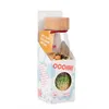 Image de petit boum learn bottle macboum menu - bouteille sensoreille
