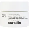 Image de Sensilis, Crème visage, Crème de mise à niveau Ar 50ml Nouveau (50 ml, Crème 24h, Crème de jour)