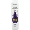 Image de Montibello, Shampoing, Colour Correction Stop Yellow (Shampoing liquide, 300 ml)