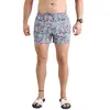 Image de Newwood Short De Bain Bigcachemir 3XL