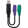 Image de Nanocable Adaptateur 2xps/2-h To Usb 15 Cm