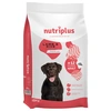Image de Nutriplus Adult agneau pour chien   15 kg