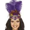 Image de couronne strass longues plumes lilas adulte - guirca 13090