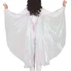 Image de paire d'ailes plissées mystiques 190x130cm irisé - générique 16060