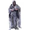 Image de déguisement ténèbreux esprit du vent homme - l - gris - guirca 80445