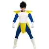 Image de Costume Manga Bleu/jaune Vegeta Homme - L