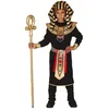 Image de déguisement prince égyptien garçon - 5/6 ans - noir - guirca 83554