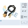 Image de Thermocontact Fae 37500