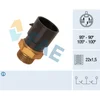Image de Thermocontact Fae 38020