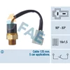 Image de Thermocontact Fae 36360