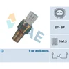 Image de Thermocontact Fae 36485