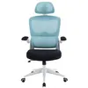 Image de Chaise de Bureau Ergonomique Woxter Ergo Bleue