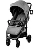 Image de Poussette Ness 2 Acier Gris