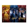 Image de Harry potter - puzzle harry, ron & hermione
