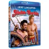 Image de The Crimson Pirate (1952) (Blu-Ray) en occasion ou reconditionné