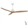 Image de Cecotec Ventilateur De Plafond Energysilence Aero 590