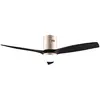 Image de Cecotec Ventilateur De Plafond Energysilence Aero 5600 Aqua Connected