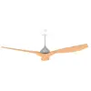 Image de Cecotec Ventilateur De Plafond Energysilence Aero 5200