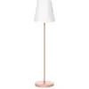 Image de Newgarden, Éclairage d'extérieur, LOLA SLIM 180 LED Lampadaire or rose 180cm dimmable + contrôleur E27 intérieur & extérieur IP65 (860 lm, E27, IP65)