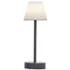 Image de Newgarden - Lampe à poser intérieure extérieure Lola Slim 32 cm Anthracite