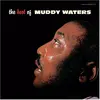 Image de The Best Of Muddy Waters, Disque vinyle