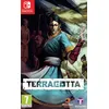 Image de Terracotta Nintendo Switch