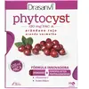 Image de Drasanvi Comprimés Phytocyst 30 Unités One Size