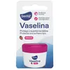 Image de VASELINA labial #fresa 20 ml