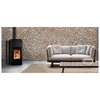 Image de Poêle à Granulés Ecoforest Nature 20893