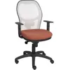 Image de Chaise Jorquera Accoudoirs Réglables Blanc/marron