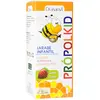 Image de Drasanvi Propolkid Sirop Pour Enfants 150ml One Size