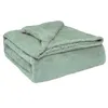 Image de Sherpa Canape Couverture Polaire 130x160cm, Épaisse Warm Plaid Blanket, Briebe, -, , Vert d'eau