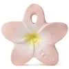 Image de Mini anneau de dentition Fleur Rose No Name