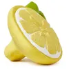 Image de Mini anneau de dentition John Lemon le citron