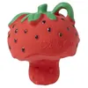 Image de Mini anneau de dentition Sweetie la fraise