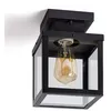 Image de TechBrey Plafonnier Extérieur Aluminium Theia Noir